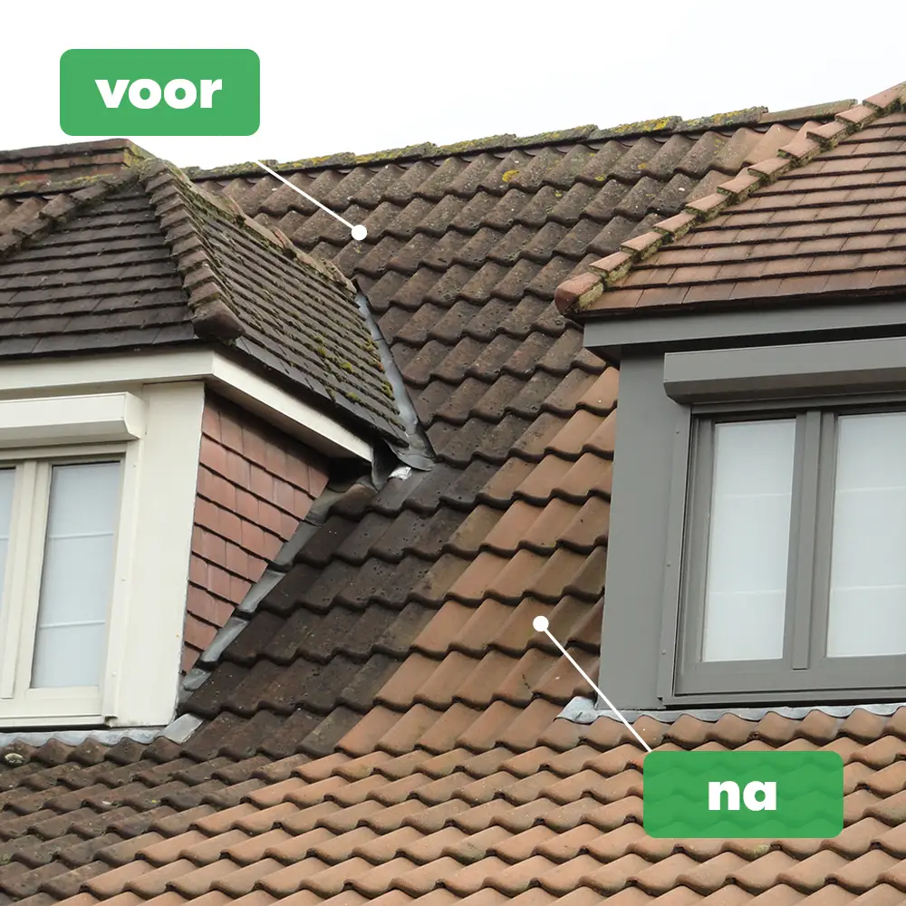 BM Chemie Green Clean mos en algen verwijderaar voor dak en terras