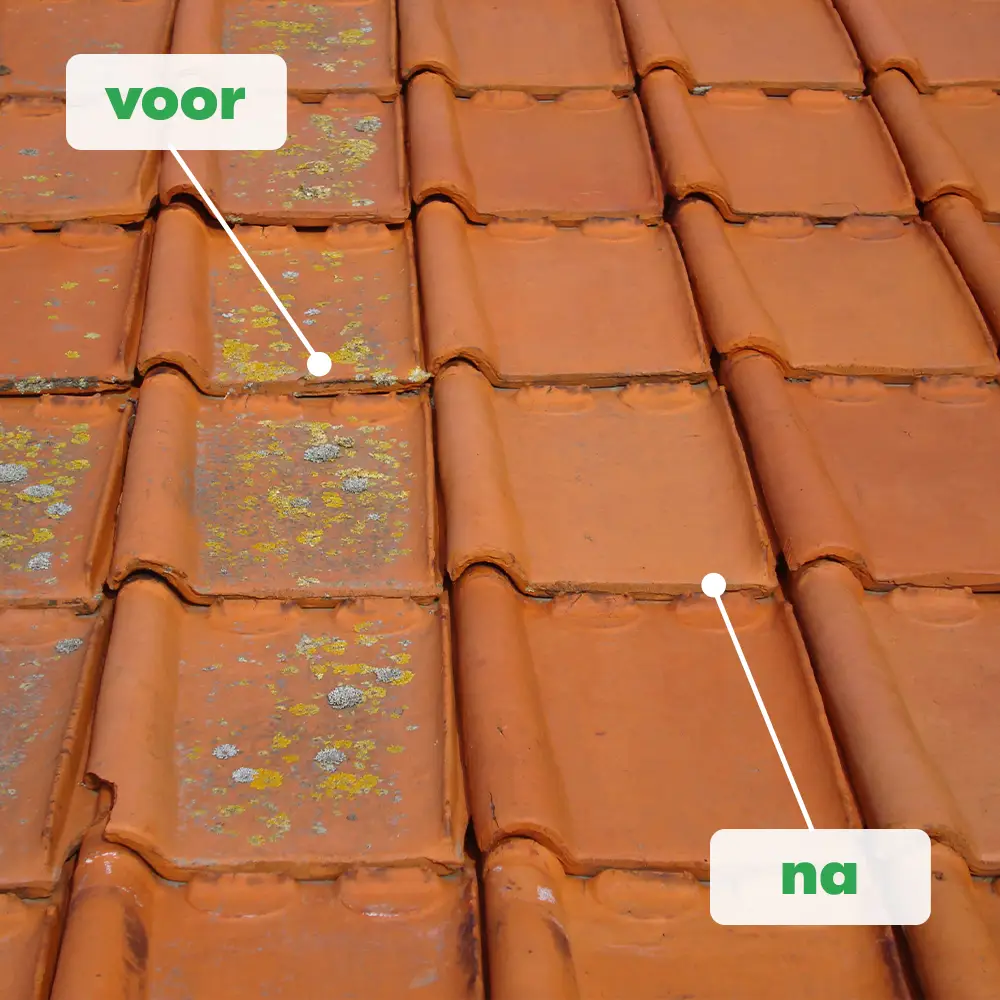 BM Chemie Green Clean mos en algen verwijderaar voor dak en terras
