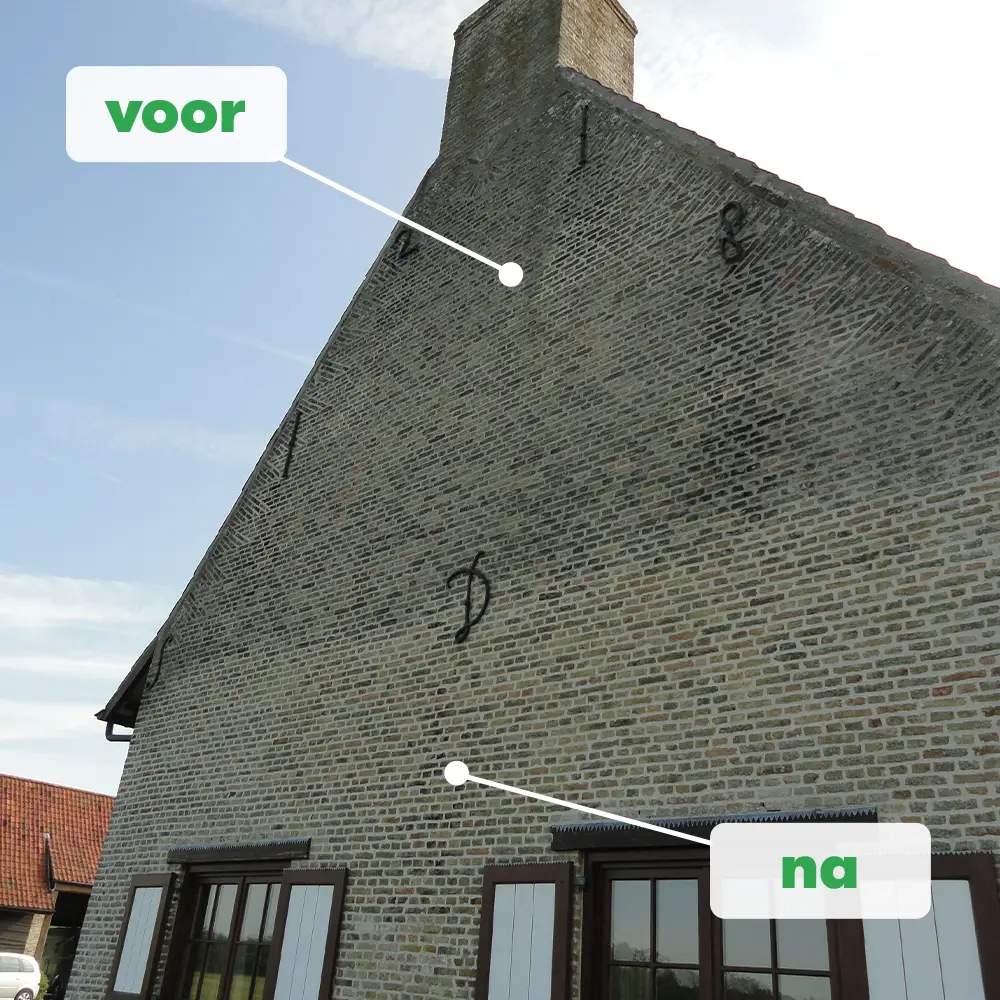 groene aanslag gevel verwijderen