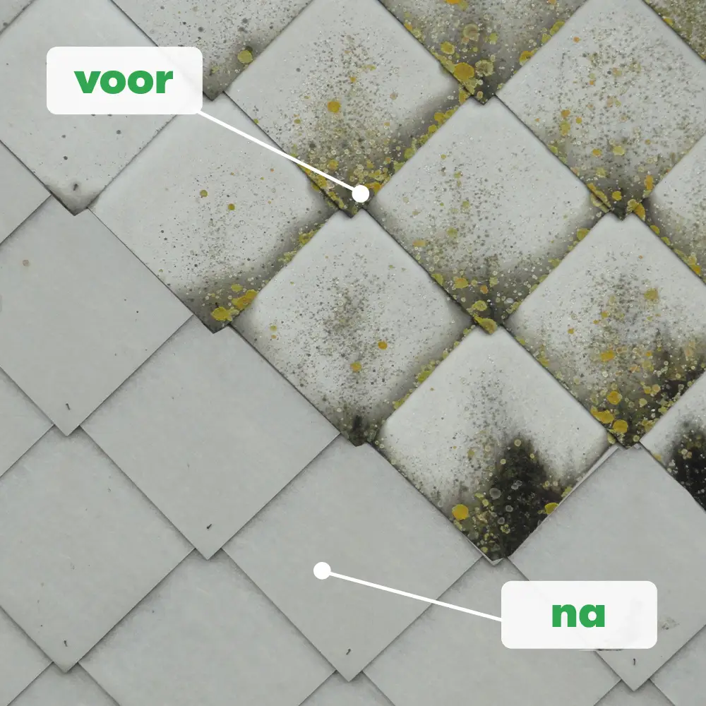 groene aanslag gevel verwijderen