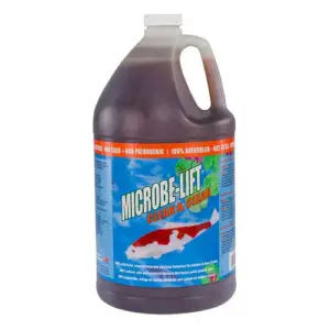 microbe-lift-cleanandclear