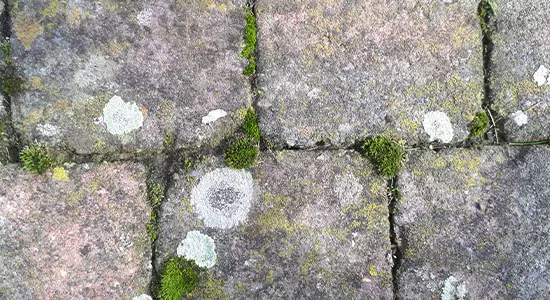 klinkersvuil1