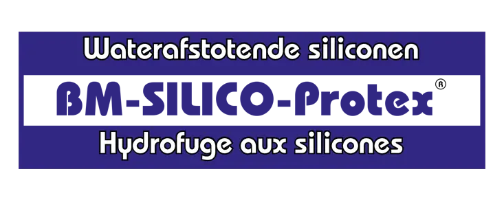 BM Silico Protex Logo