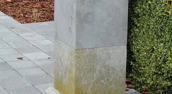 Groene aanslag op de brievenbus