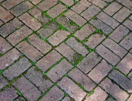 BM Chemie Green Clean tegen groene aanslag op terras