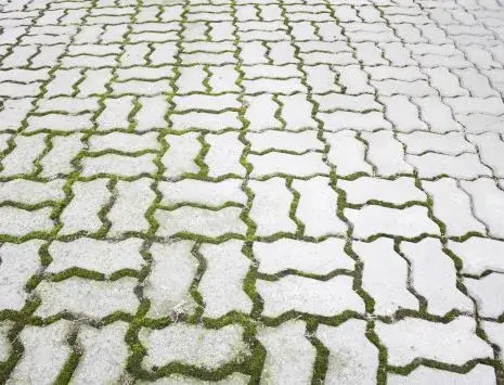 BM Chemie Green Clean tegen groene aanslag op terras